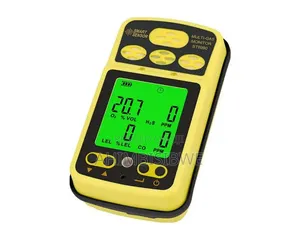 Smart Sensor Multi - Gas Meter