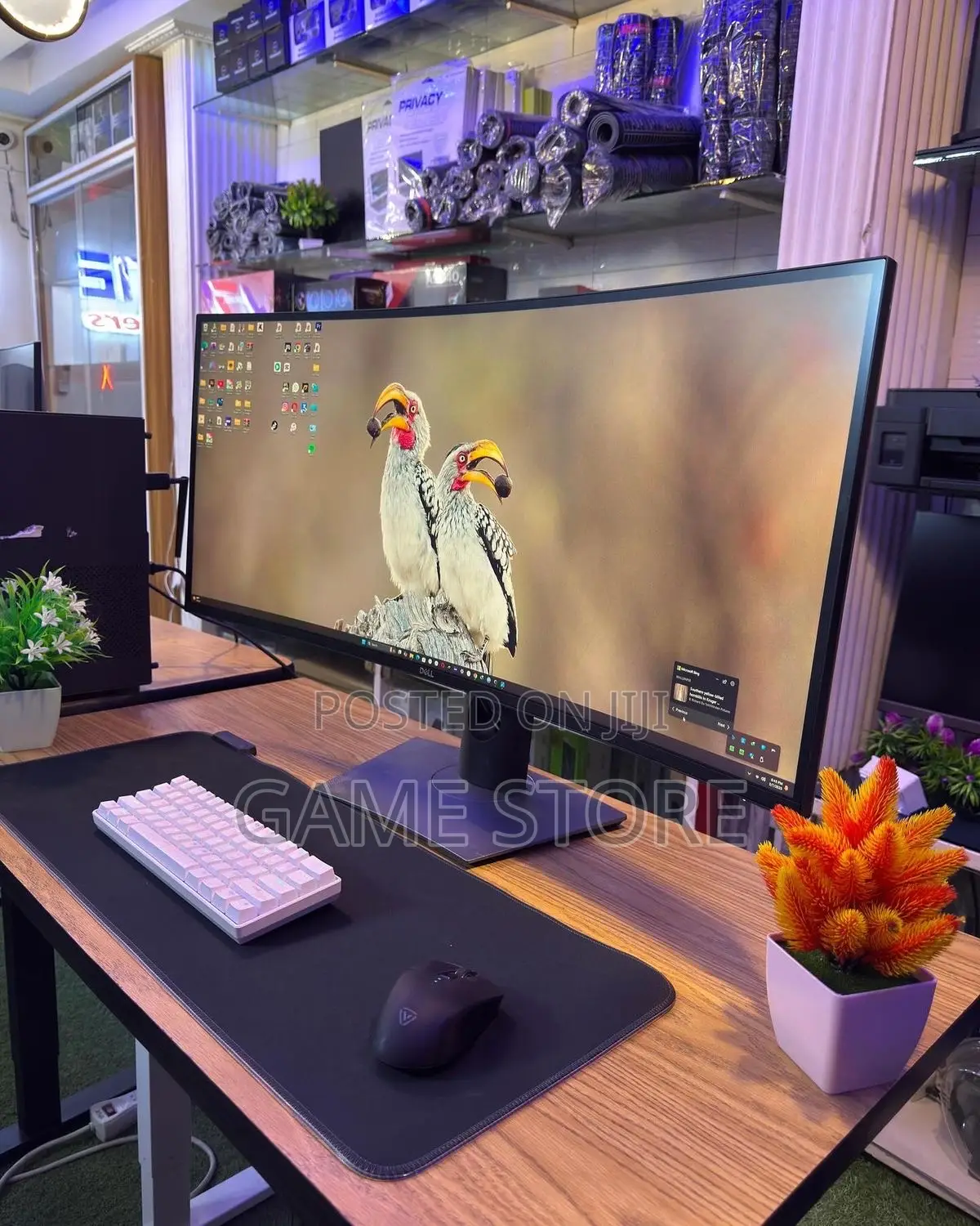 Brand New Dell Curved Monitors Make Enemies to Run Away Fast