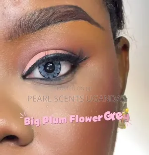 Eye Contact Lenses