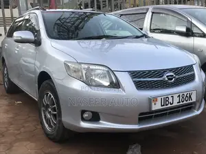 Toyota Corolla Fielder 2008 Silver