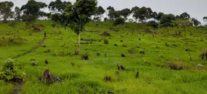 Land for Sell