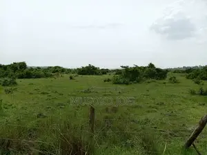 Land for Sell