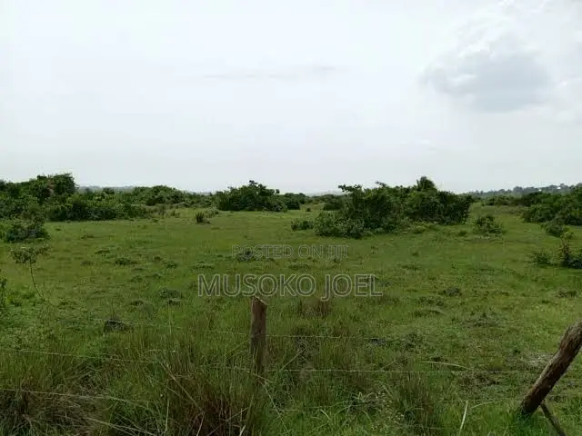 Land for Sell