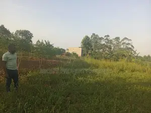 Acre of Land