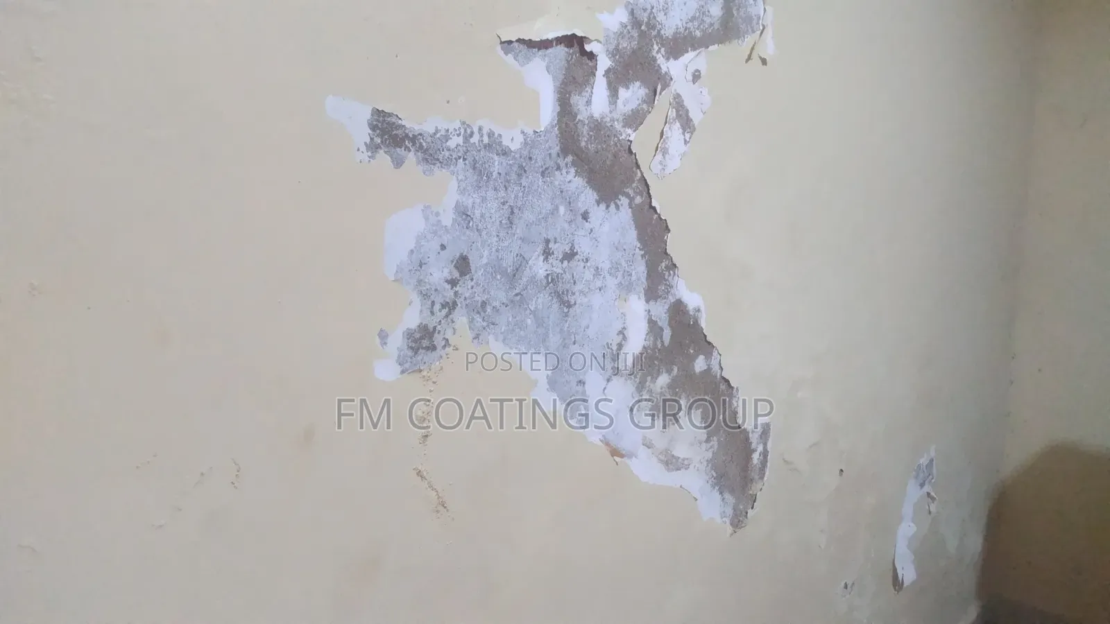 Wall Waterproof Repair