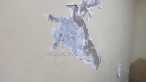 Wall Waterproof Repair
