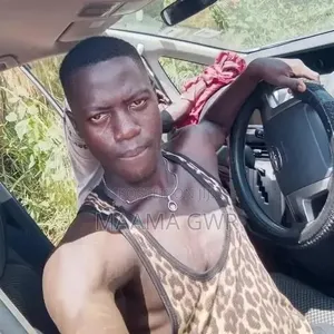Professional Driver