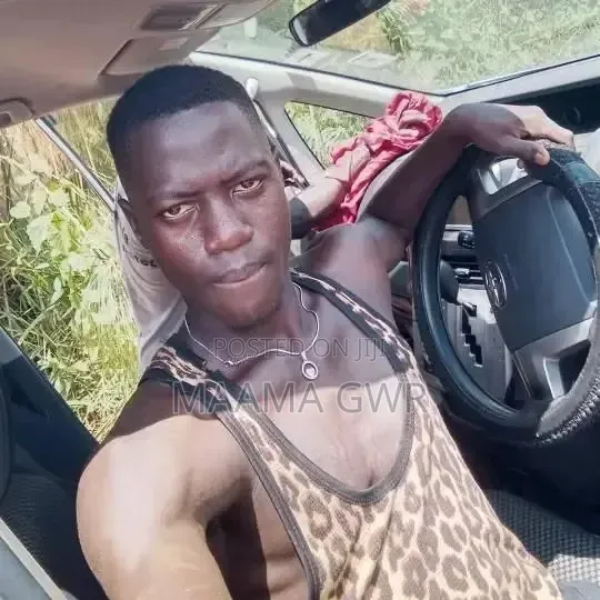 Professional Driver