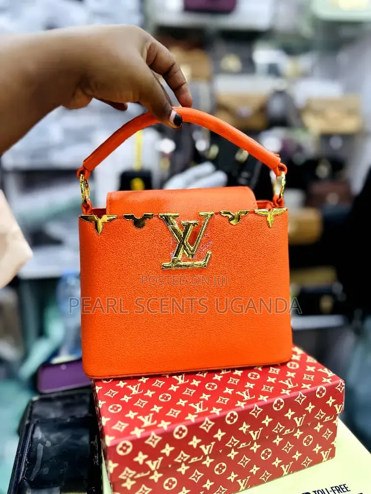 Classy Handbags by Louis Vuitton