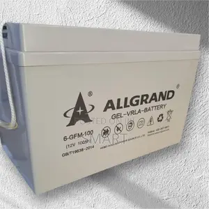 Heavy-Duty 100Ah All Grand Deep Cycle Battery
