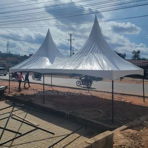 Canopy100seater Tent