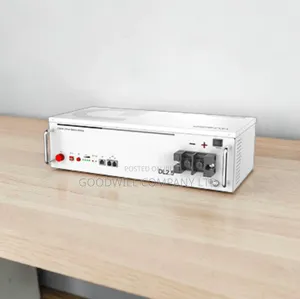 2.5kwh Dyness Lithium Battery