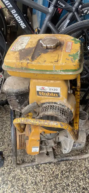 Robin Pooker EY 20