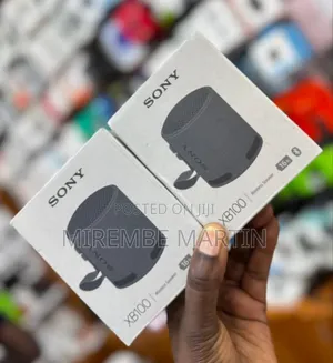 Sony XB100