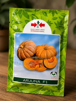 Arjuna F1 Pumpkin Seeds 10g