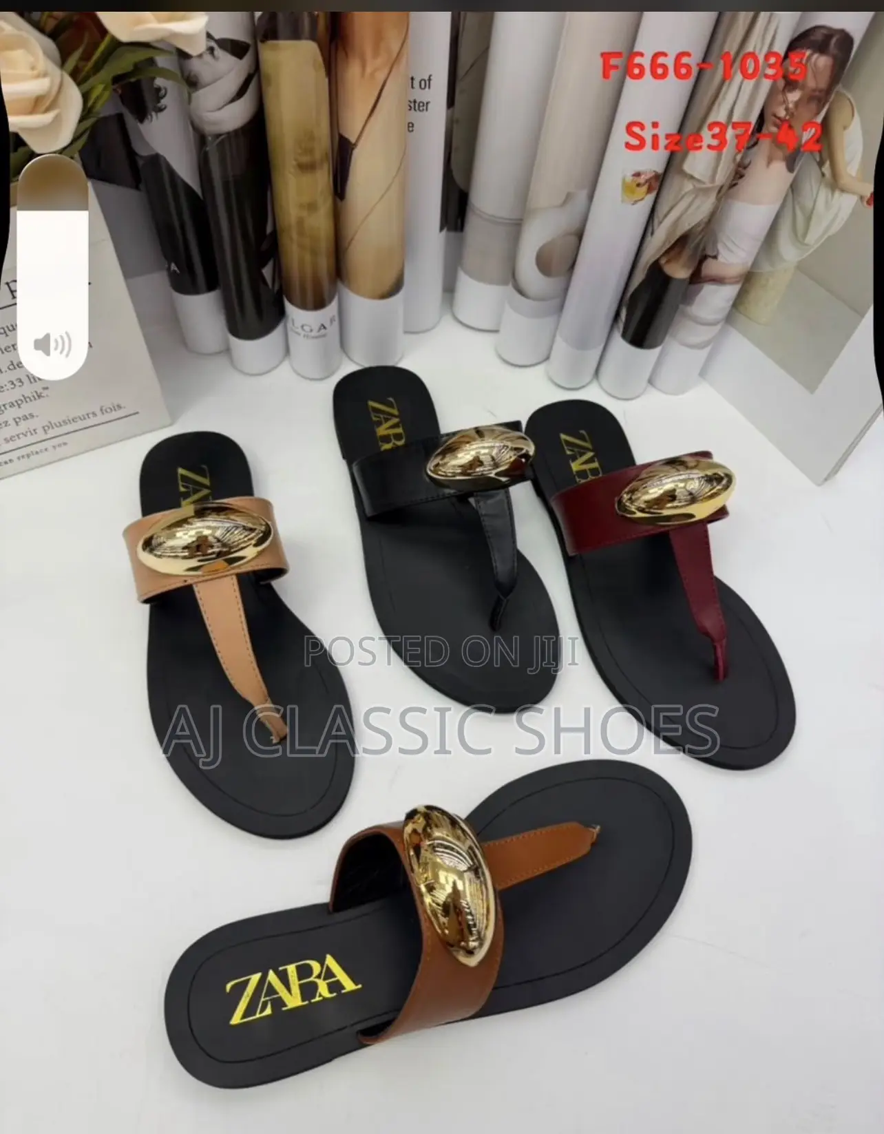 Flat Ladies Shoe
