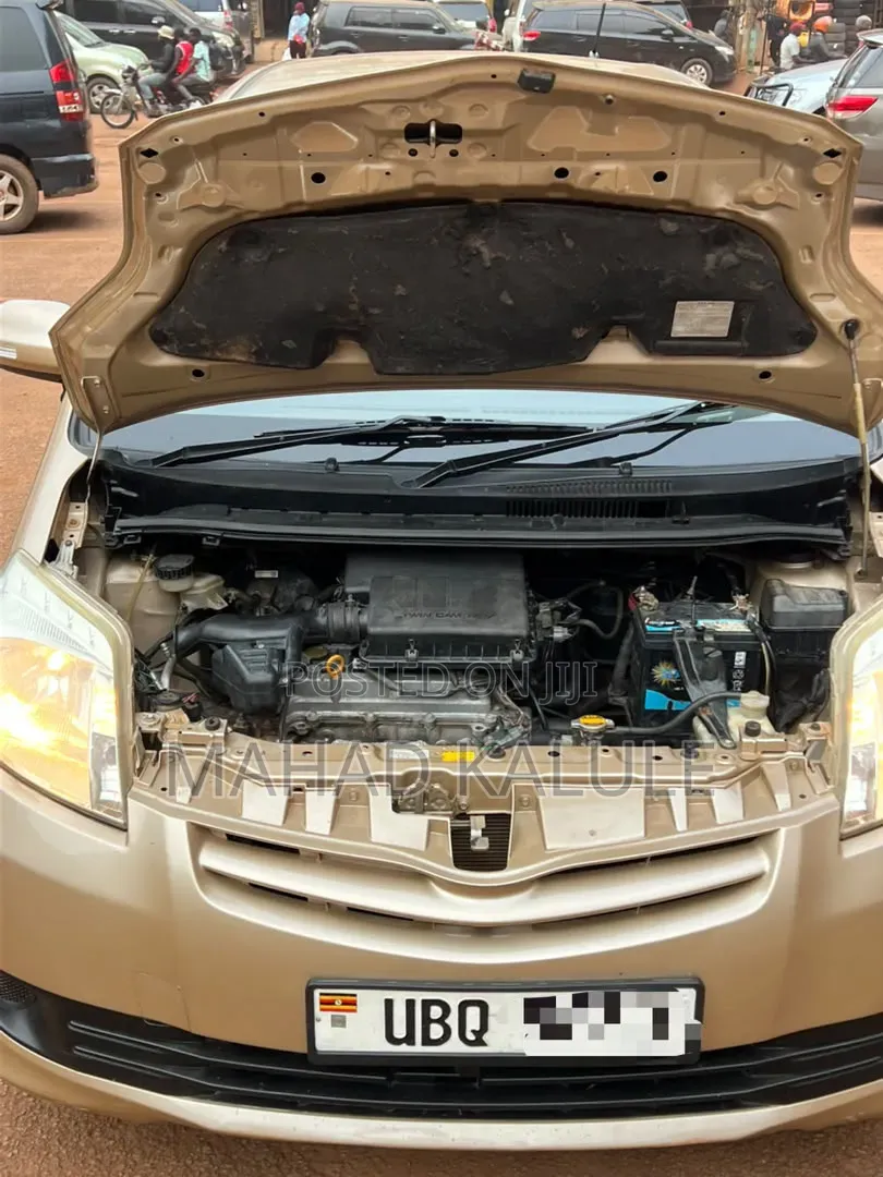 Toyota Passo Sette 2010 Gold
