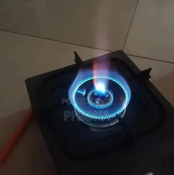 One Burner Log Gas Stove
