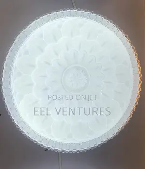 Ceiling Light