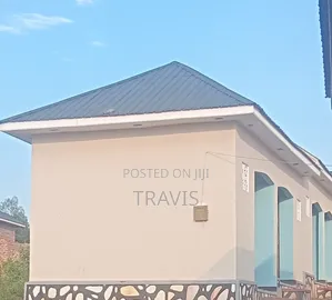 Travis Paintings