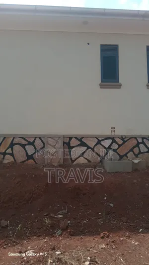 Travis Paintings
