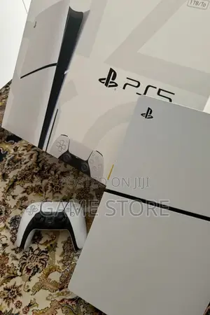 PS5 Slim Disc Edition Make Dual Voltage Units Survive Power Cuts