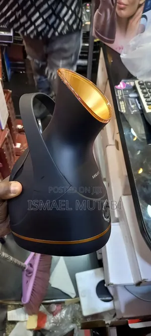 Facial Steamer
