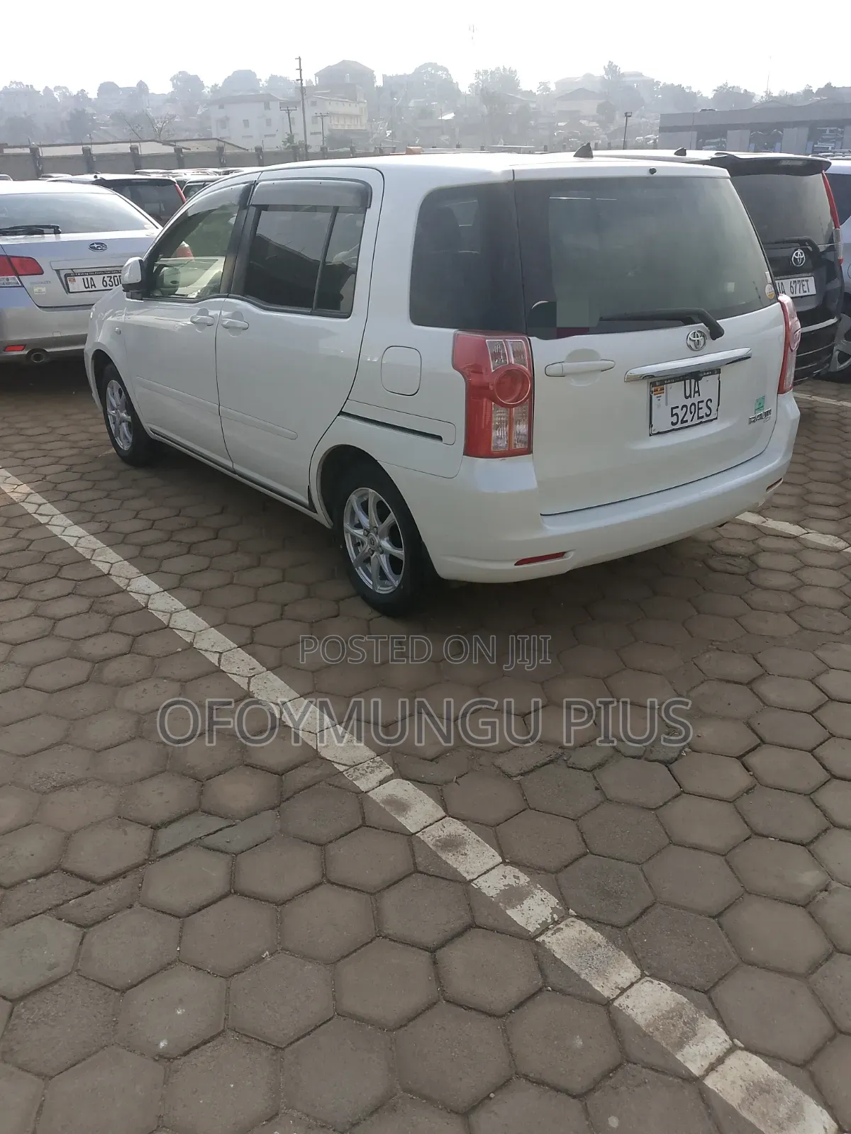 Toyota Raum 2011 Gray