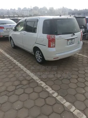 Toyota Raum 2011 Gray