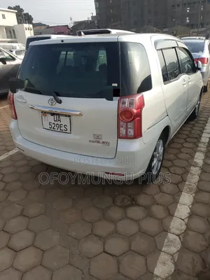 Toyota Raum 2011 Gray