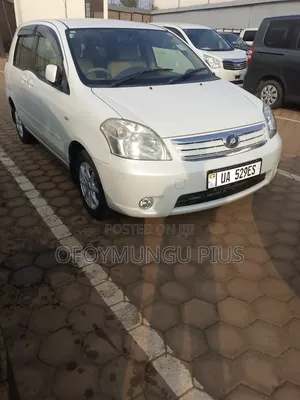 Toyota Raum 2011 Gray