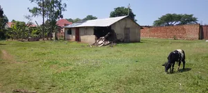 Plot for Sale in Bugema Mbale City. Land Size 60x80ft