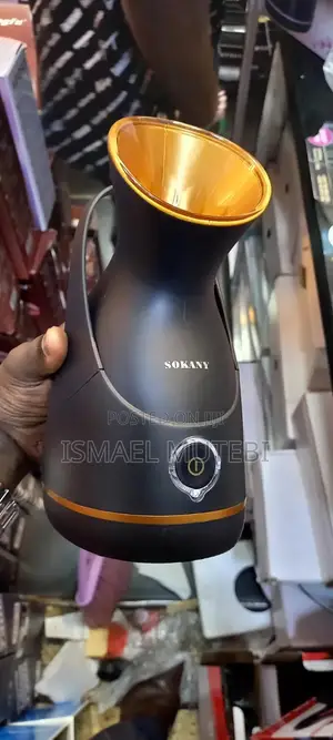 Facial Steamer