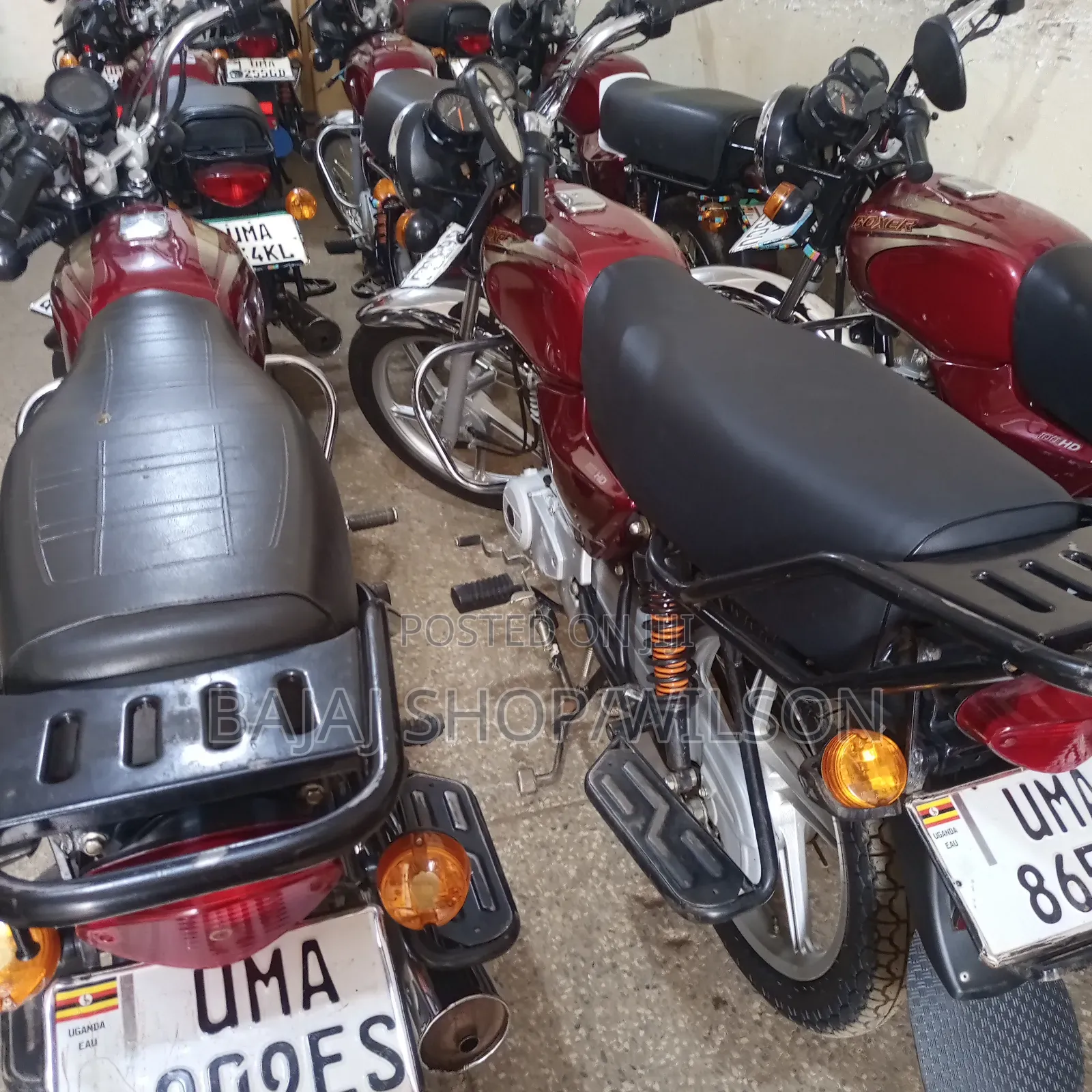 Bajaj CT 125X 2025 Gray
