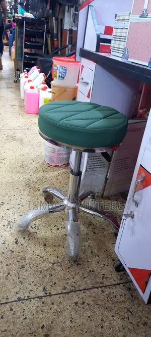 Salon Chair