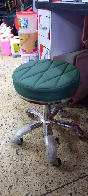 Salon Chair