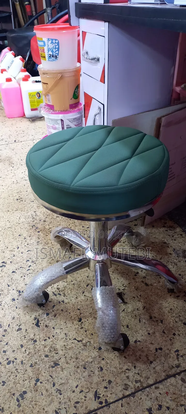 Salon Chair