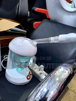 Facial Steamer