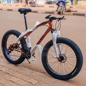 Fat Adult Bicycle