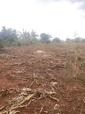 Land in Kayunga District