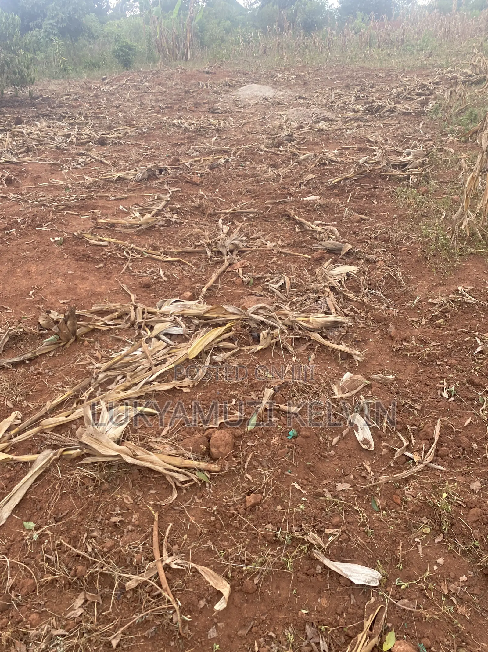Land in Kayunga District