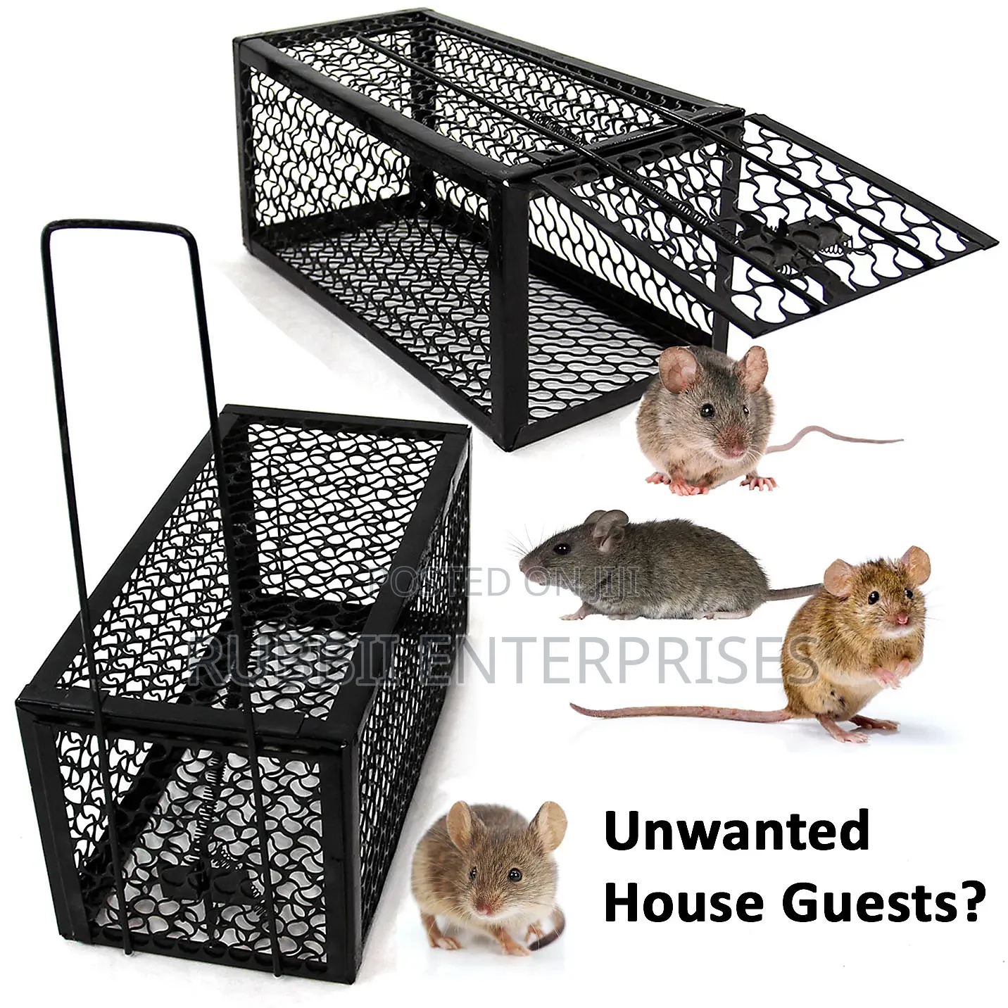 Rat Trap / Mouse Trap