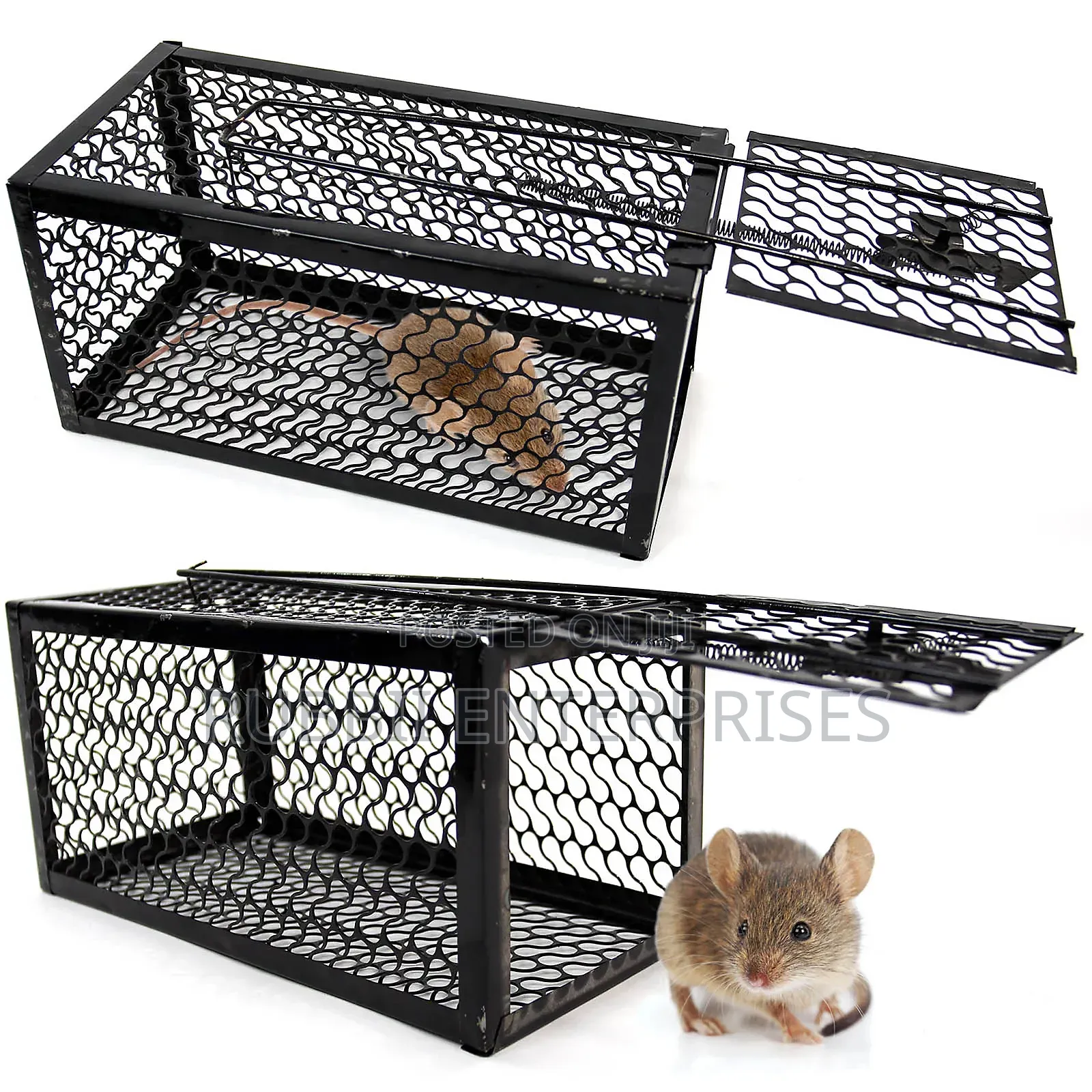 Rat Trap / Mouse Trap
