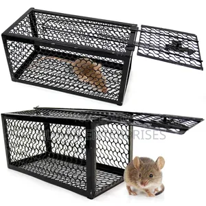 Rat Trap / Mouse Trap