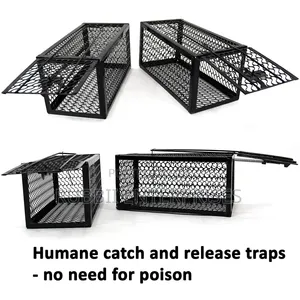 Rat Trap / Mouse Trap