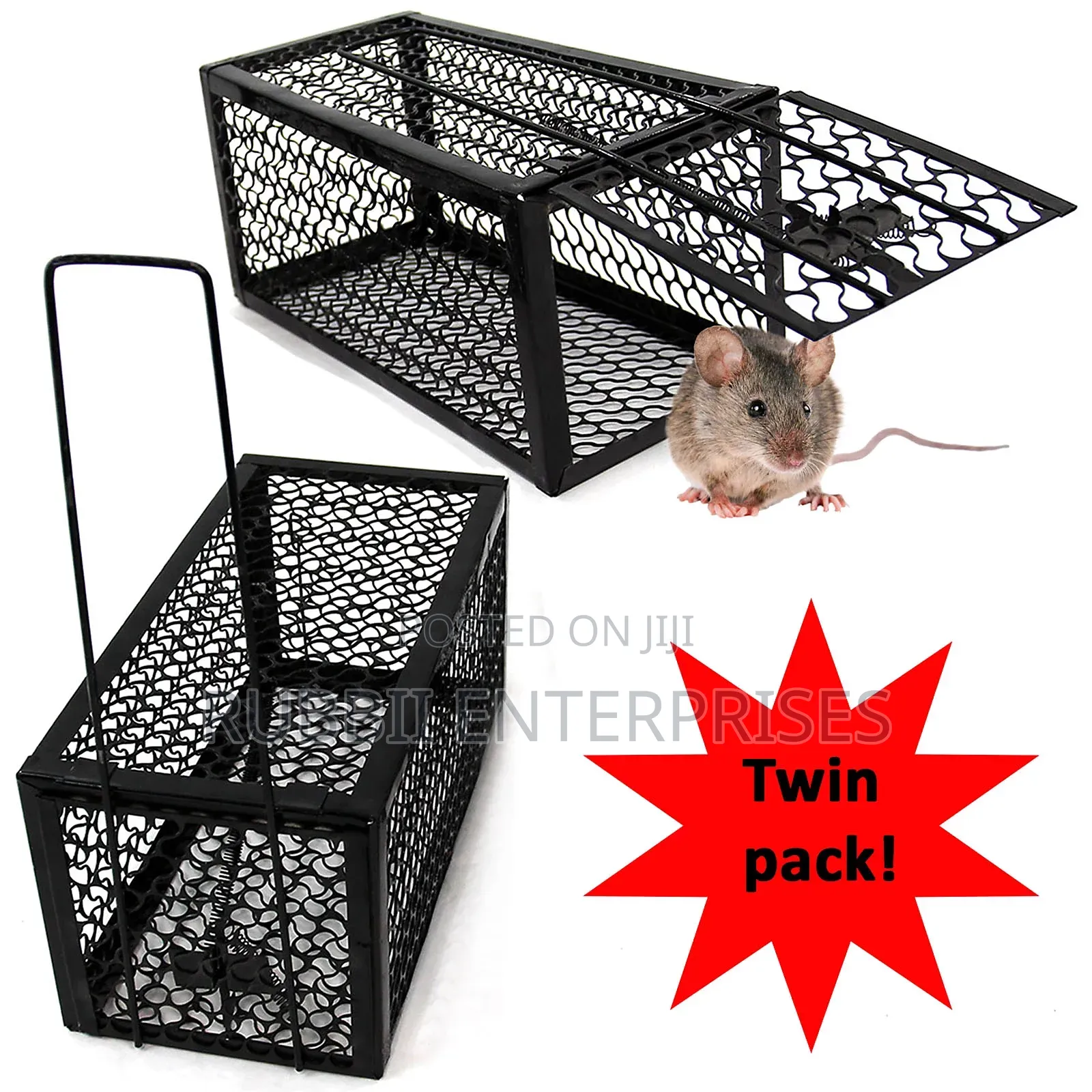 Rat Trap / Mouse Trap