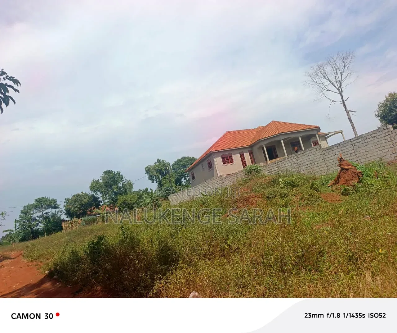 Plot for Sell in Sissa