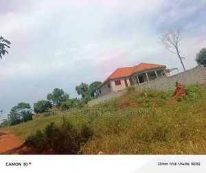 Plot for Sell in Sissa