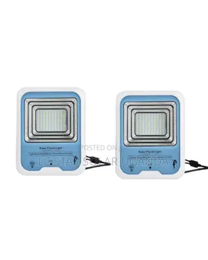 100w Flood Light