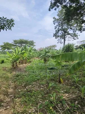 Plot for Sell